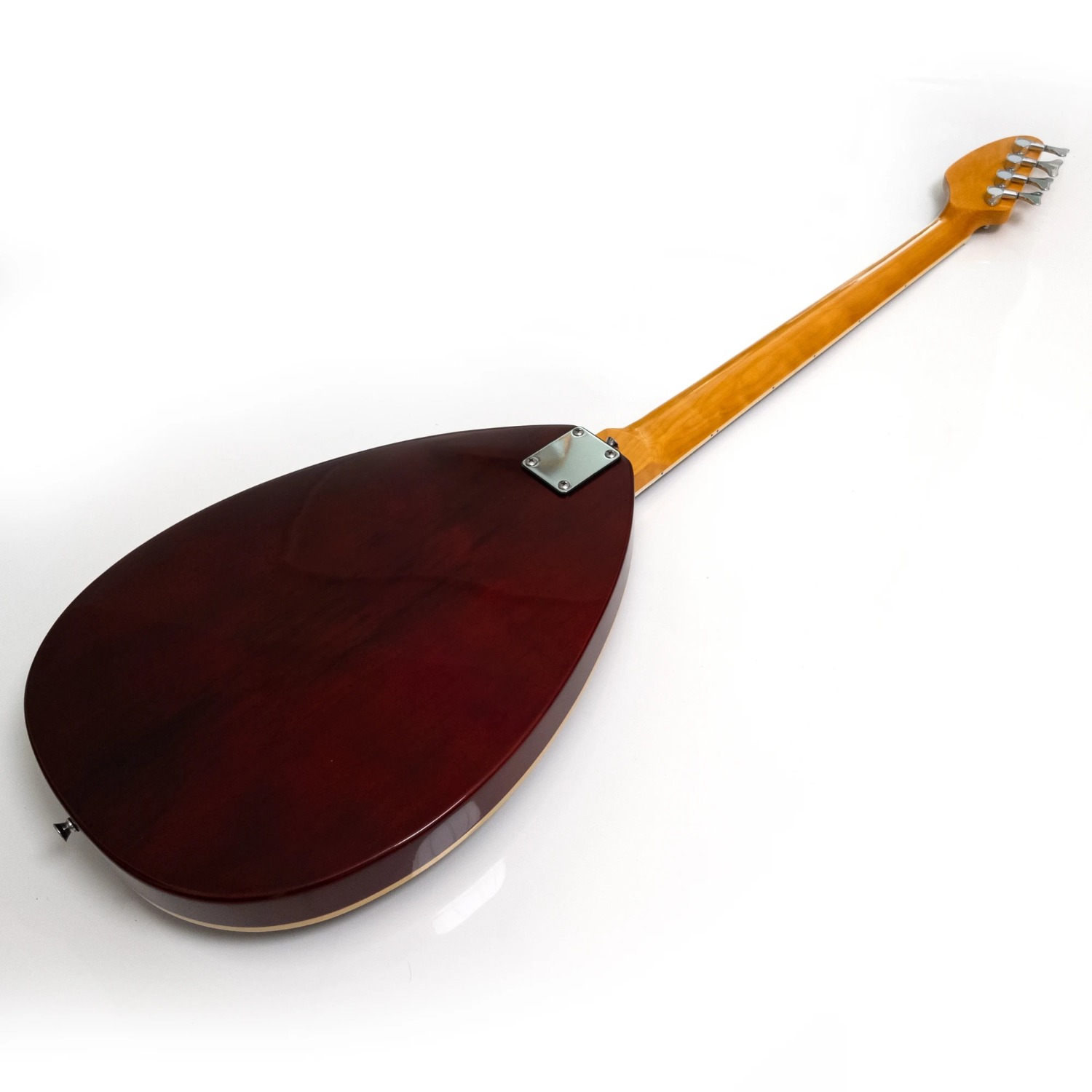 4 Strings Semi Hollow Body Ele - Bass Guitar Fretless 评论和价格