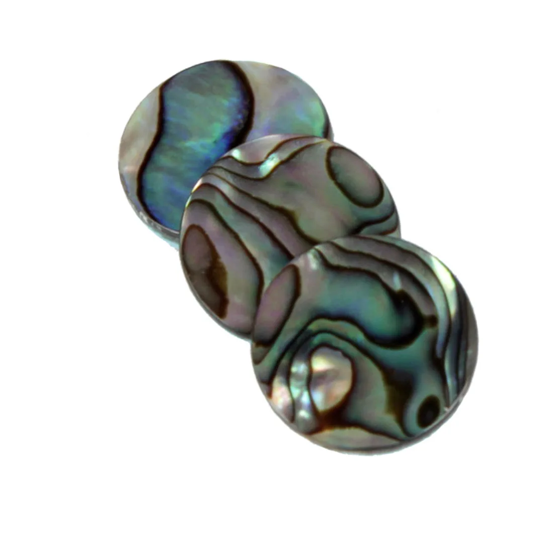 3pcs/set Trumpet Abalone Shell - Musical Instrument Horn 评论和价格