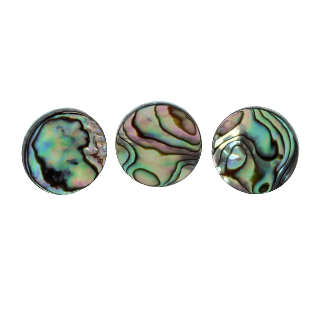3pcs/set Trumpet Abalone Shell - Musical Instrument Horn 评论和价格