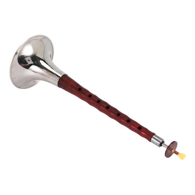 A12E-Chinese Folk Wind Musical - Musical Instrument Zurna 评论和价格